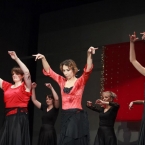 zima-2012-flamencon