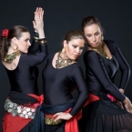 flamenco-oriental-trojica_n1